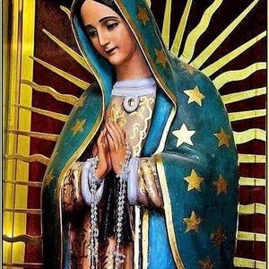 Meet your Posher, Mirna